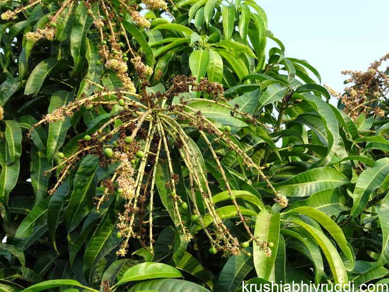 Third spray in this stage