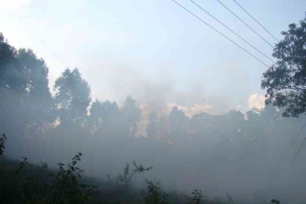 ಮೋಡದ ಹವಾಮಾನ