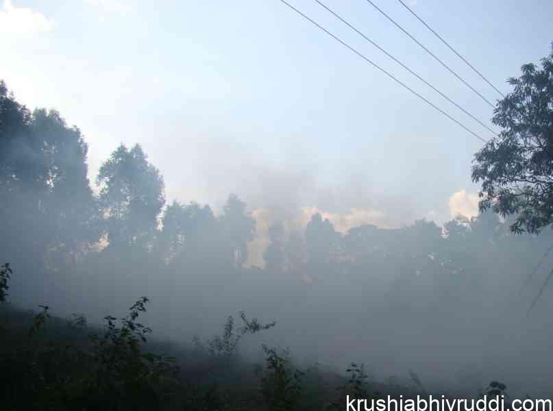 ಮೋಡದ ಹವಾಮಾನ