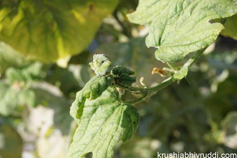 impact of cloudy weather